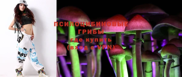а пвп мука Новодвинск