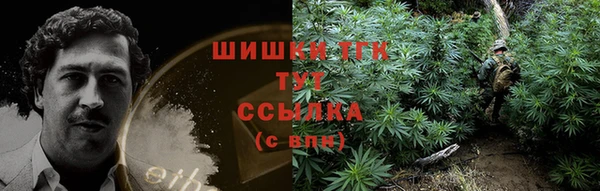 мет Абаза