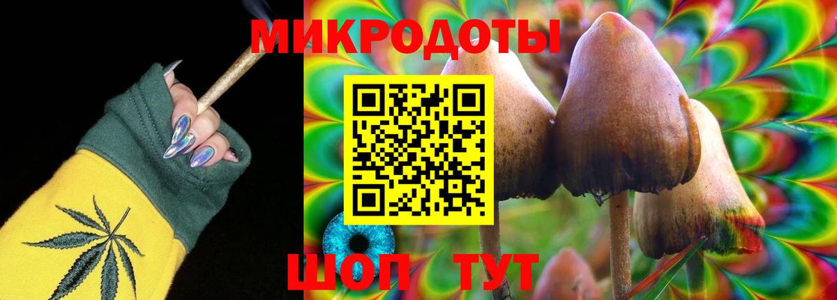 Партизанск  Галлюциногенные грибы Psilocybine cubensis  Вход с VPN 